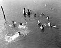 Wayside-swimmers1952.jpg